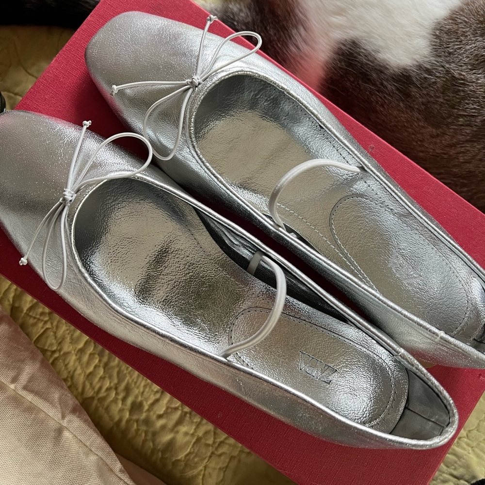 Zara Square Toe Ballet Flats NEVER WORN